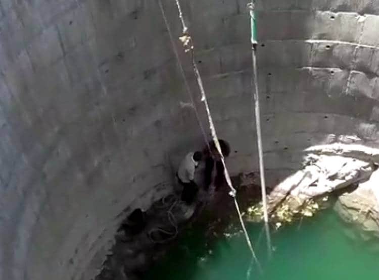 तैरना नहीं जानता था सर्पमित्र, सांप को बचाने 70 फीट गहरेे कुएं में उतरा