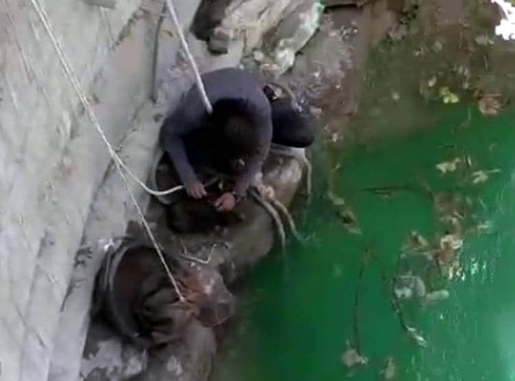 तैरना नहीं जानता था सर्पमित्र, सांप को बचाने 70 फीट गहरेे कुएं में उतरा
