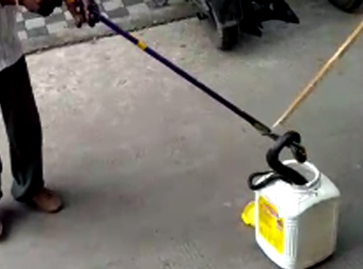 सीट के नीचे घुसा था कोबरा सांप, 20 किमी तक चलाते रहे बाइक, फिर...