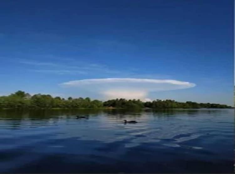 मशरूम के आकार के बादल को लोगों ने समझा परमाणु विस्फोट, बुरी तरह डरे