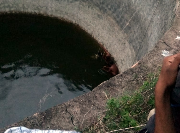 पत्नी की जलती चिता पर पति ने लगाई छलांग, 3 महीने पहले हुई थी शादी