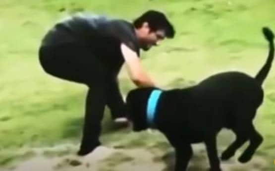 सुशांत के जाने से दुखी उनका डॉगी, वायरल वीडियो देख हो जाएंगे इमोशनल