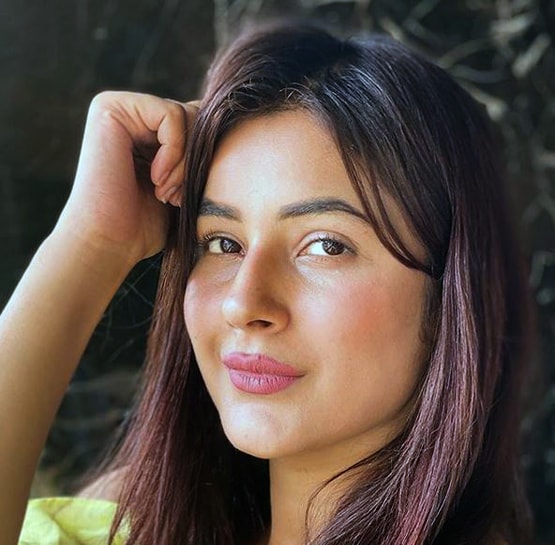 टिक टॉक पर वायरल इन सेलेब्स के वीडियो, बैन ने बंद की एंटरटेनमेंट की दुकान