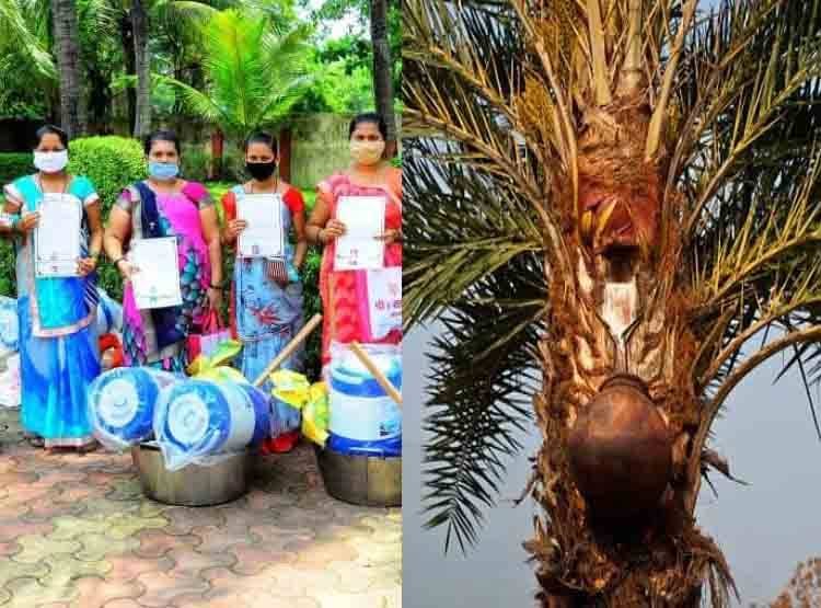 अब ताड़ी बनाएगी आत्मनिर्भर, नीरा से बनेगी चॉकलेट-आइसक्रीम!