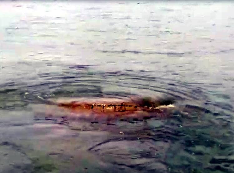 अचानक नदी के बाहर निकला 500 साल पुराना भगवान विष्णु का मंदिर