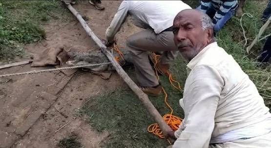 घर में घुसा 5 फीट लंबा मगरमच्छ, रातभर अटकी रही लोगों की सांस