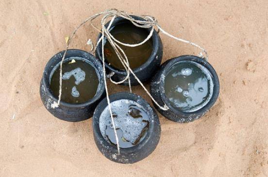 अब ताड़ी बनाएगी आत्मनिर्भर, नीरा से बनेगी चॉकलेट-आइसक्रीम!