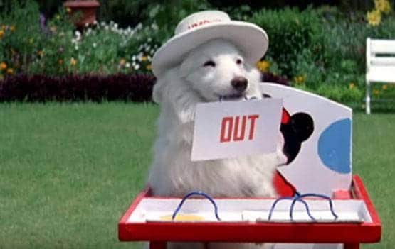 जब फिल्मी पर्दे पर छाए बेजुबान जानवर, फैंस को खूब पसंद आई इनकी कलाकारी