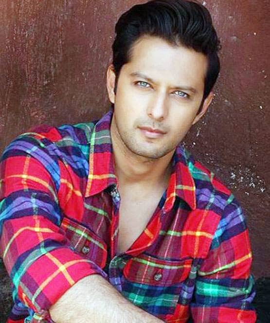 नकुल से इकबाल तक, फिल्मों में फ्लॉप हुए ये एक्टर्स, टीवी पर मिली शोहरत