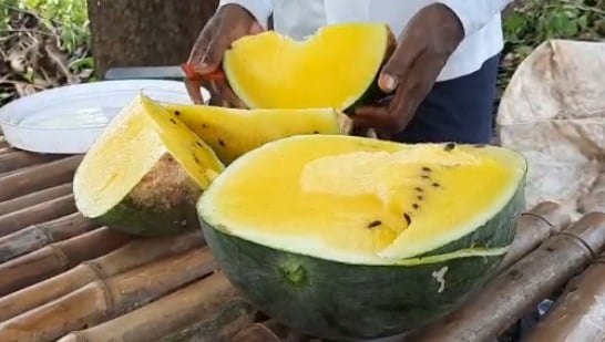 झारखंड के किसान ने उगाए अनोखे तरबूज, बाहर से हरे अंदर से पीले
