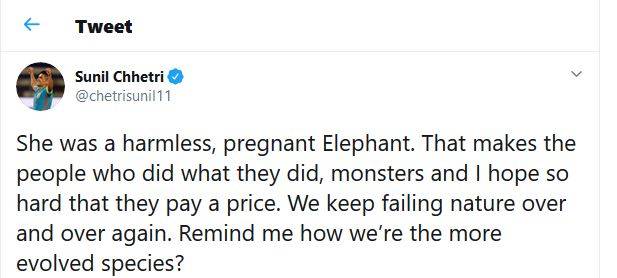 गर्भवती हथिनी को खिलाया था पटाखों से भरा अनानास, रोहित का गुस्सा फूटा