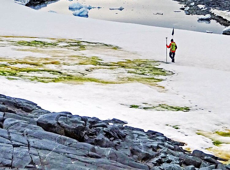 लोनार झील के बाद इटली के पहाड़ों पर बर्फ हुई गुलाबी, वैज्ञानिक हैरान