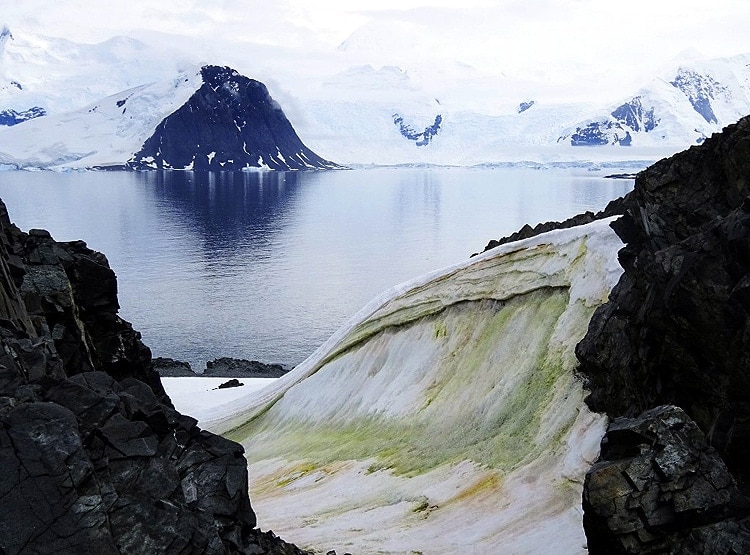 लोनार झील के बाद इटली के पहाड़ों पर बर्फ हुई गुलाबी, वैज्ञानिक हैरान