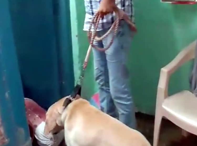 चोर ने मर्डर के बाद किया रेप, बॉडी को फ्रिज में रखना चाहता था कातिल