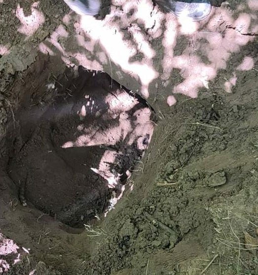 शोपियां: बंकर में रहते थे आतंकी, सर्च में मिला गोला-बारूद का जखीरा