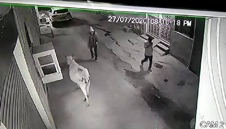 'मौसी नमस्ते' कहकर घर में घुसे लुटेरे, खिलौने वाली पिस्टल दिखाकर लूटा