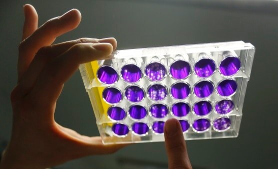 वैक्सीन आने से पहले ही मची होड़, ब्रिटेन ने फिर खरीदी 6 करोड़ डोज