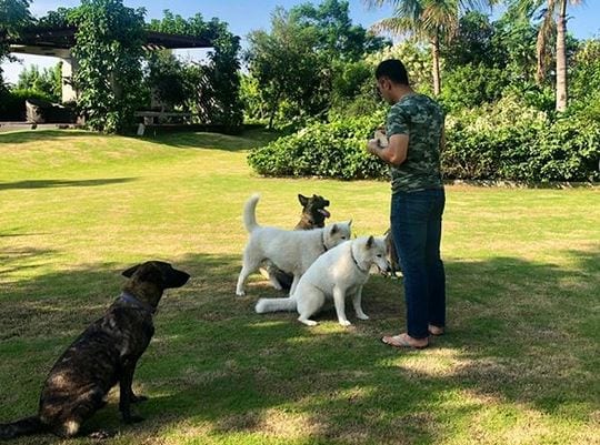 धोनी के बर्थडे पर कैफ ने कहा- 404 दूसरा MSD नहीं मिलेगा