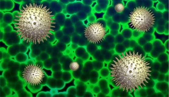 Coronavirus: अमेरिका को पहली वैक्सीन बनाने में मिली बड़ी सफलता