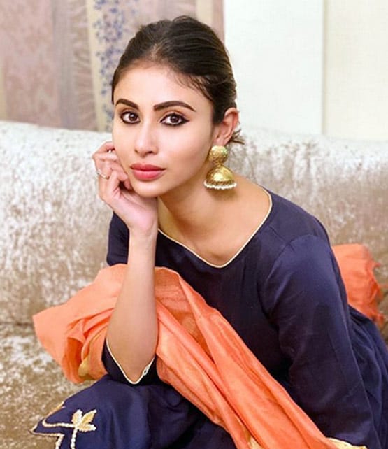 बॉलीवुड में नेपोटिज्म का बोलबाला, इन TV एक्ट्रेस ने अपने दम पर पाई सफलता