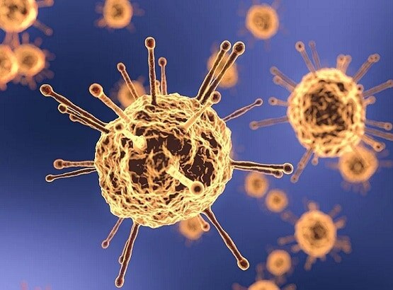इम्यून को कैसे जाल में फंसाता है कोरोना? पकड़ी गई वायरस की चालाकी