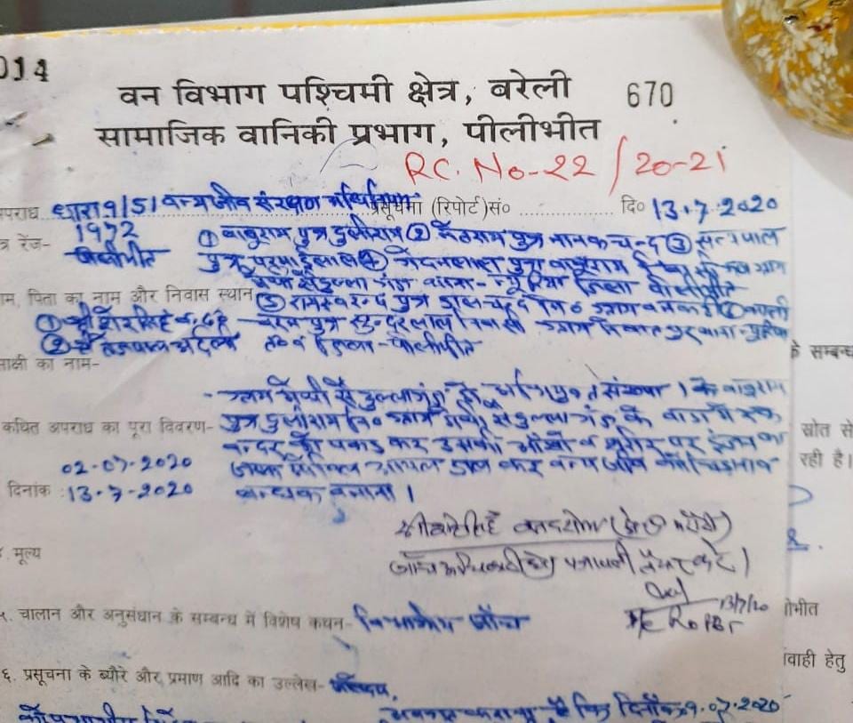 बंदर के साथ हुई बर्बरता, पहले पीटा फिर डाला काला रंग, 6 गिरफ्तार