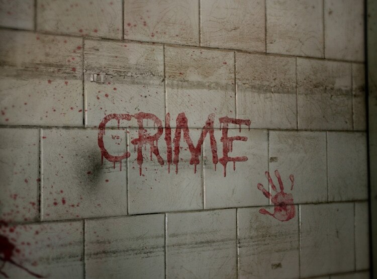 लव मैरिज से नाराज थे भाई, 6 गोलियां मारकर किया बहन का मर्डर