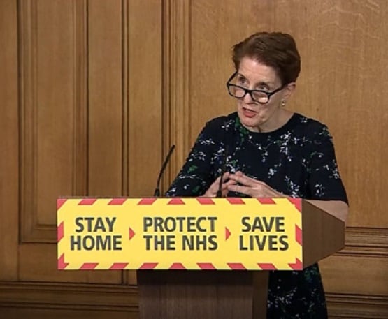 पालतू बिल्ली को मालिक से हुआ कोरोना, एक्सपर्ट की लोगों को चेतावनी