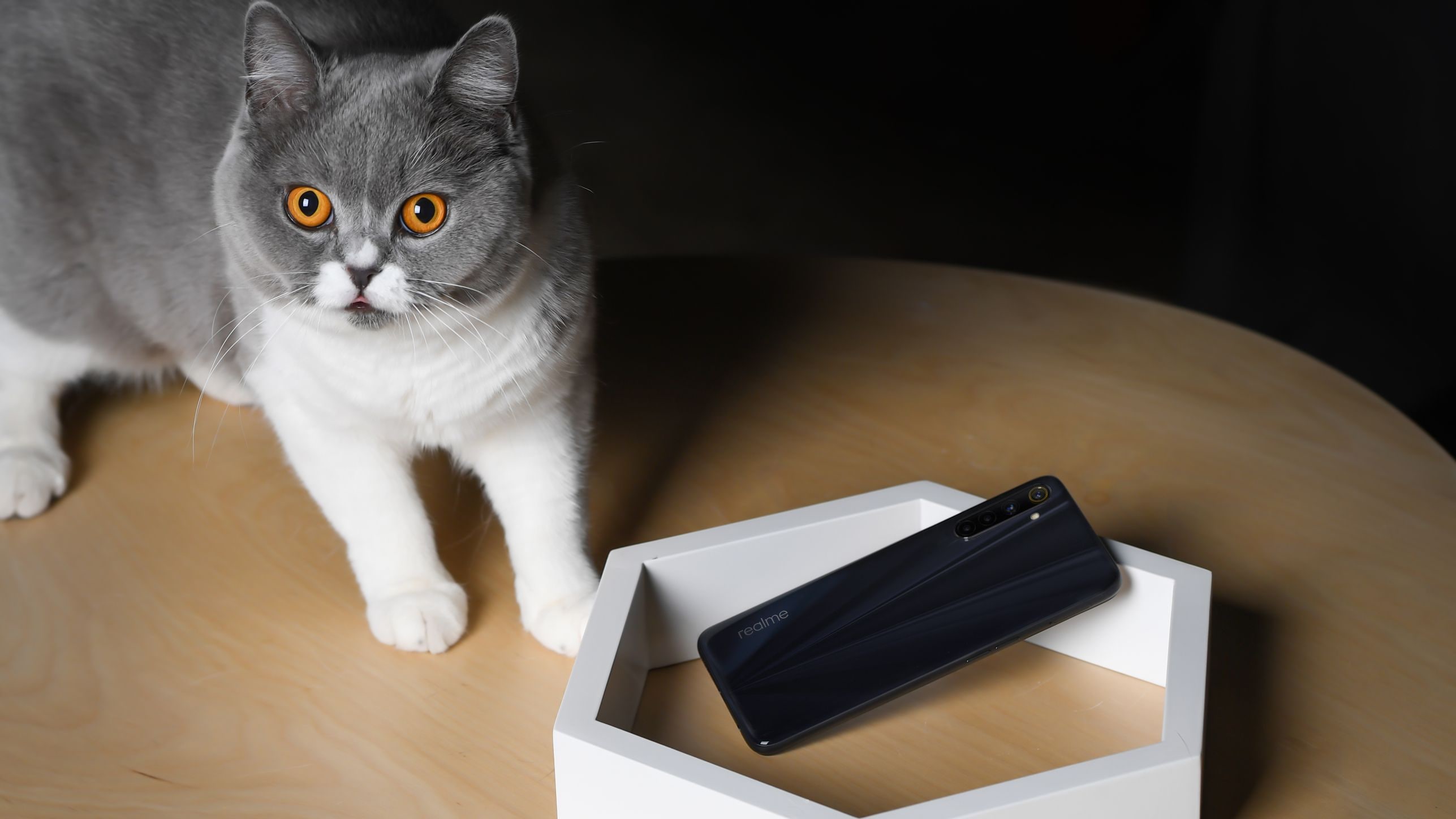 Realme 6i: 90Hz स्मूद डिस्प्ले वाला फोन 12,999 रुपये में लॉन्च