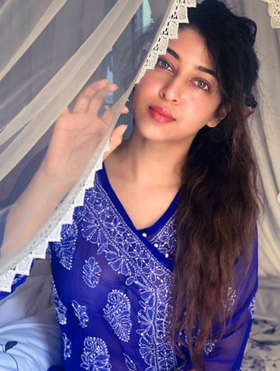 इन टीवी सितारों का कमबैक रहा फ्लॉप, डेब्यू पर मिला था हिट का टैग