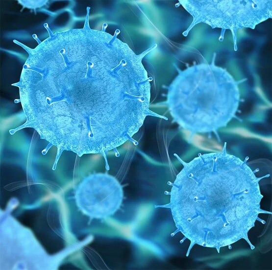 जानिए बाजार में कब तक आएगी भारत में बन रही कोरोना की वैक्सीन