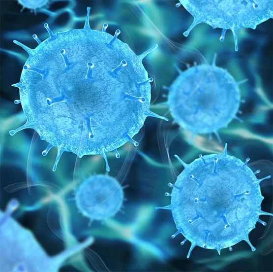 भारत की कोवैक्सीन का ह्यूमन ट्रायल जल्द, जानें 7 अहम बातें