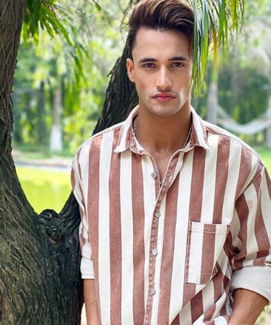 बैकग्राउंड डांसर से बिग बॉस फाइनलिस्ट तक, ऐसी है आस‍िम के स्टार बनने की स्टोरी