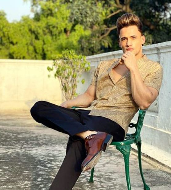 बैकग्राउंड डांसर से बिग बॉस फाइनलिस्ट तक, ऐसी है आस‍िम के स्टार बनने की स्टोरी