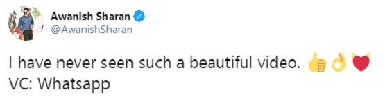 बोतल देखकर प्यासी गिलहरी ने हाथ उठाकर मांगा पानी, वीडियो वायरल