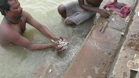 गंगा में डुबकी लगाकर अस्थियां क्यों खोज रहे हैं वाराणसी के नाविक?