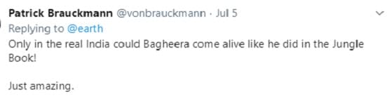 कर्नाटक के जंगलों में नजर आया ब्लैक पैंथर, तस्वीरें देख लोग हैरान