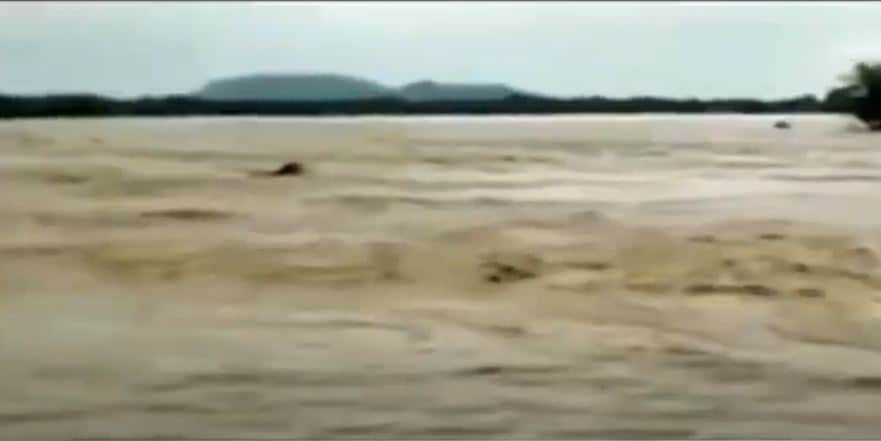 चीन की नई चाल, भारत को नुकसान पहुंचाने के लिए कर रहा ये काम