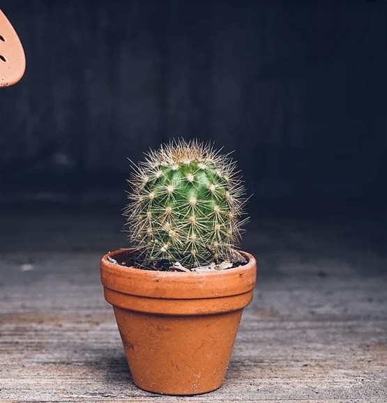 घर में कभी नहीं रखनी चाहिए ये 11 चीजें, बढ़ाती हैं नकारात्मक ऊर्जा