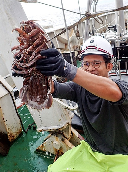 हिंद महासागर में मिला 14 पैर वाला कॉक्रोच, आकार देख हो जाएंगे हैरान