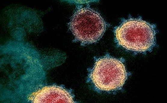 बिहार: होम आइसोलेशन में कोरोना मरीज की हो गई मौत, किसी ने नहीं सुनी बेटों की गुहार