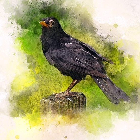 घर में कभी नहीं रखनी चाहिए ये 11 चीजें, बढ़ाती हैं नकारात्मक ऊर्जा