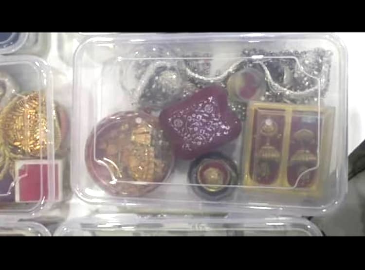 मर्सिडीज-BMW में घूमते थे साइबर ठग, गांव में बनाईं आलीशान कोठियां