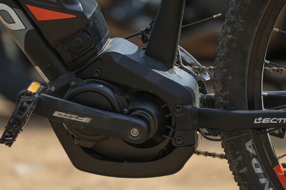 कार वाले भी साइकिल पर, कंपनी ने कहा- ऐसी दीवानगी नहीं देखी