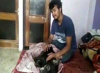 मालकिन की अर्थी देख चौथी मंजिल से कूदा पालतू कुत्ता, गई जान