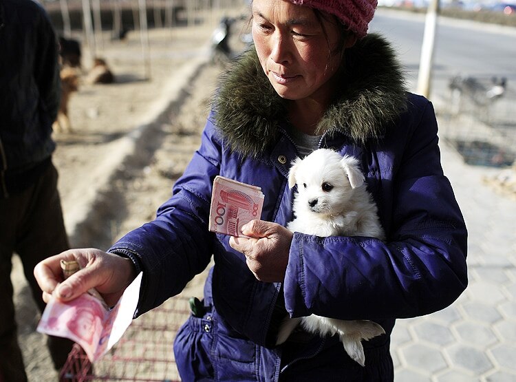 PETA की भारत को चेतावनी- अवैध 'वेट मार्केट' से आ सकती है नई महामारी