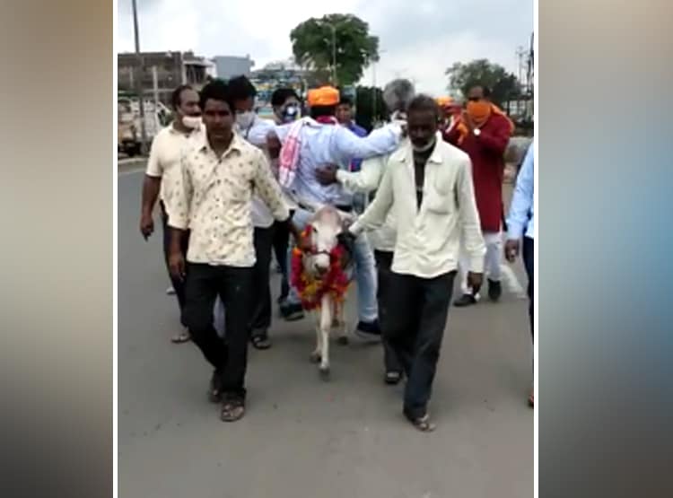 श्मशान से निकली अनोखी बारात, गधे पर बैठा था दूल्हा, जानें रहस्य