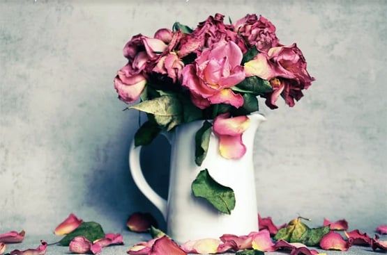 घर में कभी नहीं रखनी चाहिए ये 11 चीजें, बढ़ाती हैं नकारात्मक ऊर्जा