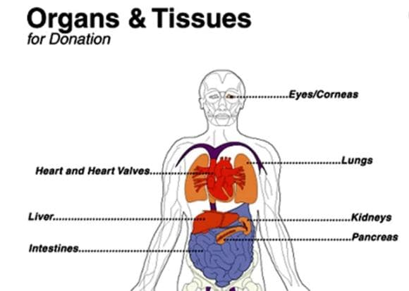 पेट दर्द पर पहुंचा अस्पताल, लिवर में 20 सेमी लंबा चाकू देख डॉक्टर दंग
