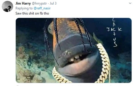 समंदर में मिली अनोखी मछली, इंसानों की तरह हैं होंठ और दांत